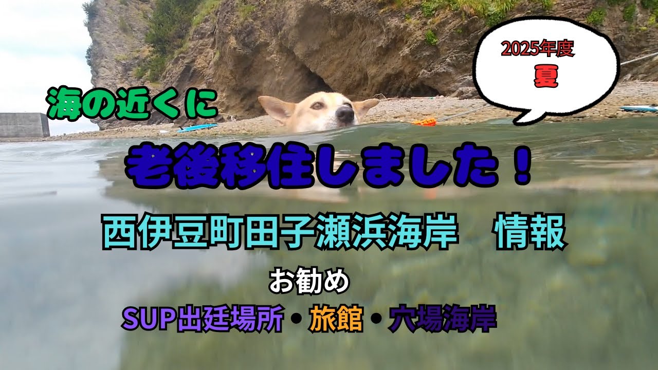 海の近くに老後移住しました！西伊豆町田子瀬浜海岸情報！