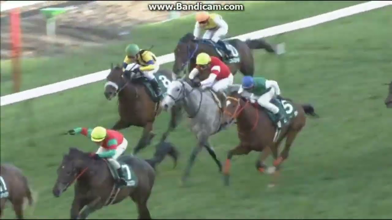 2011 札幌2歳ステークス (GⅢ)　グランデッツァ