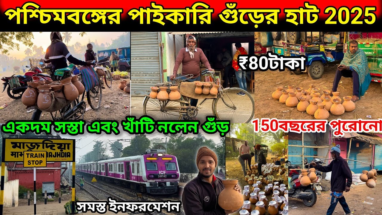 পচিমবঙ্গের পাইকারি নলেন গুঁড়ের হাট 2025। Majdia Gurer Hat 2025 | Majdia Wholesale Gur Haat Nadia.