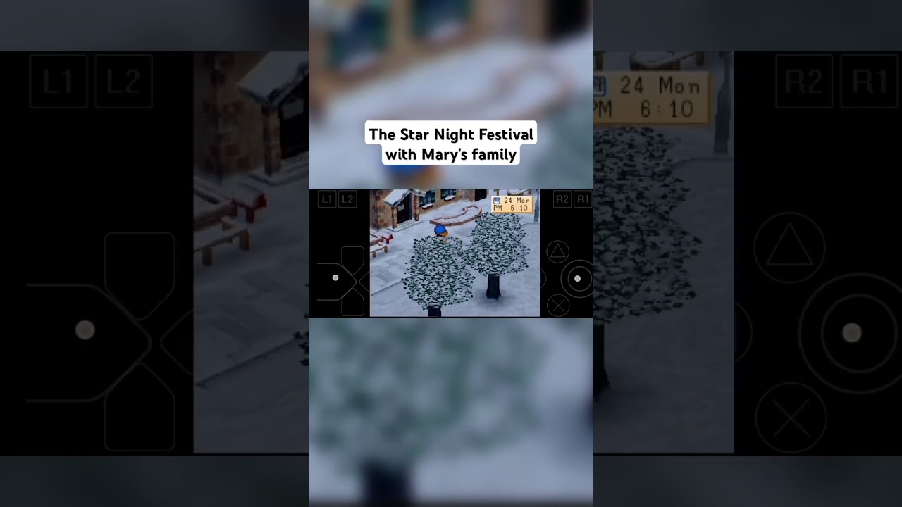 The Star Night Festival with Mary's family - Harvest Moon Back to Nature