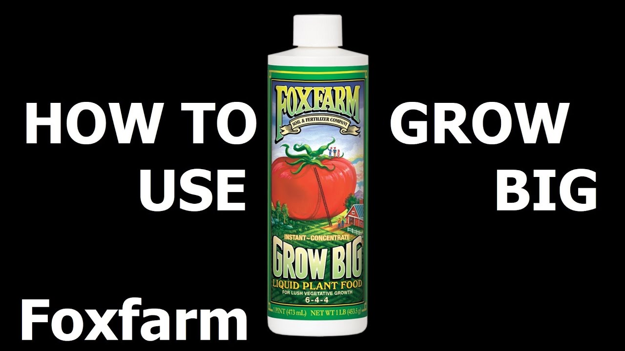 Grow Big Liquid Fertilizer (how To Use) By Foxfarm