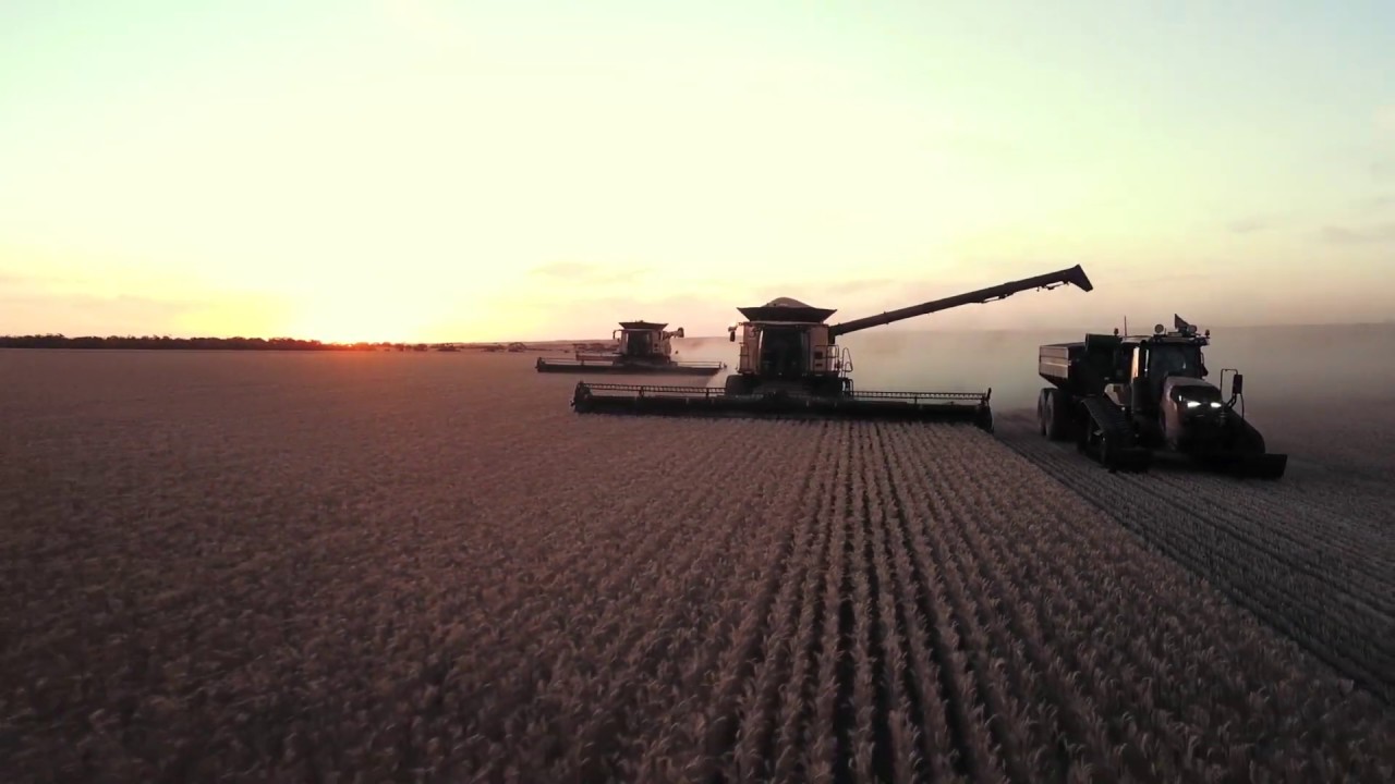 HARVEST '19 || WONGAN HILLS, WA