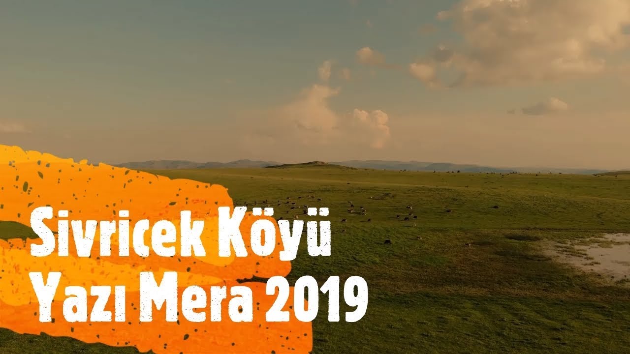 Sivricek Köyü Yazı 2019