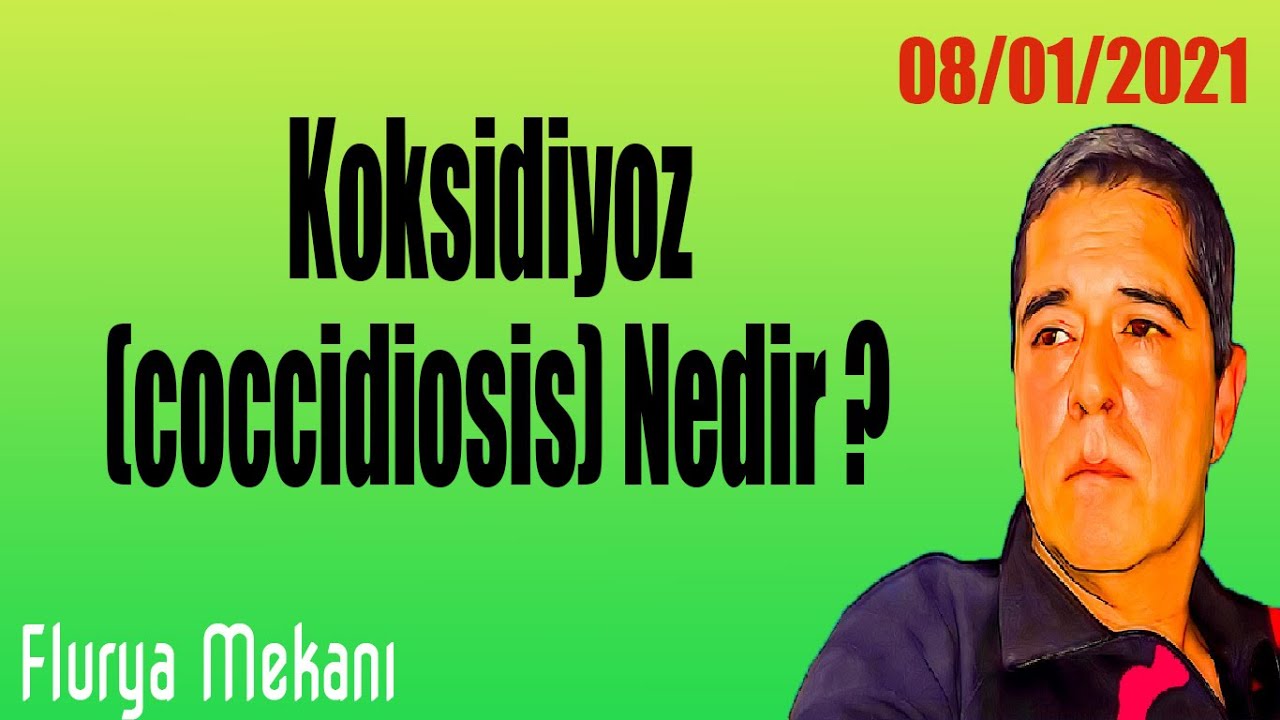 Flurya Mekanı - Koksidiyoz (coccidiosis) Nedir ?