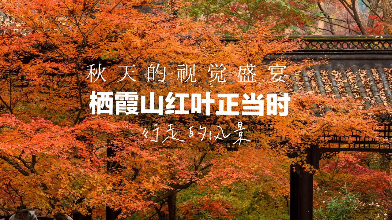 南京栖霞山红叶正当红