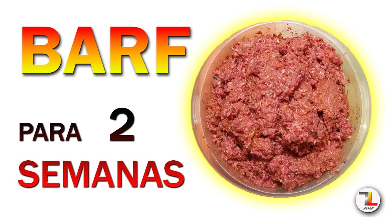 ✔Cómo hacer el Mejor PREPARADO BARF para Perros