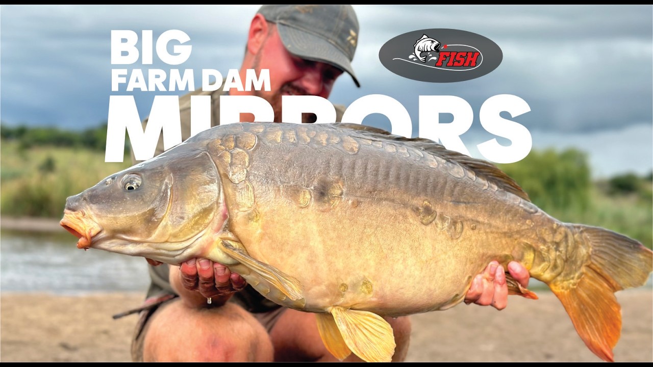 Farm Dam produces some Huge Mirrors