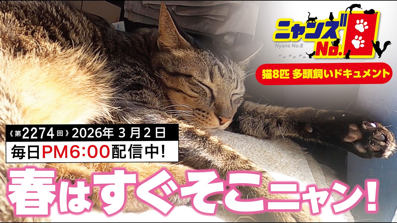 《第2274回》春はすぐそこニャン！