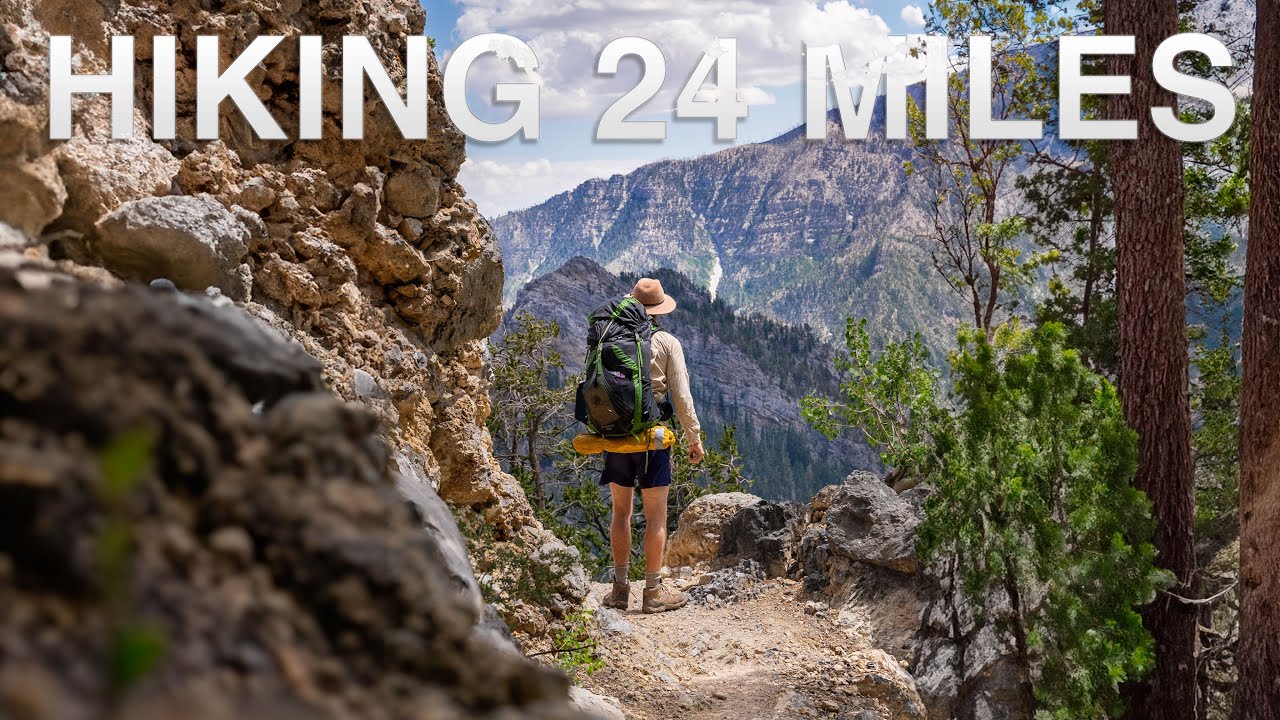 Hiking Vegas' Closest Forest 🏔️ Mt Charleston Peak 💦 Mountain Springs and Ancient Trees 🌲