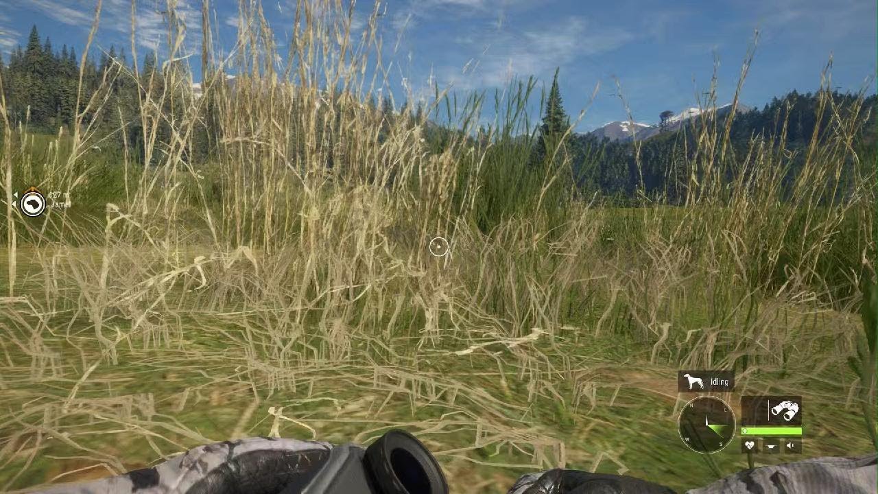 theHunter: Call of the Wild. day 1 of posting hcotw vids until kendall gray comments