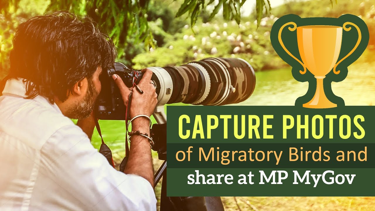 Capture Photos of Migratory Birds and share at MP MyGov | Participate Now