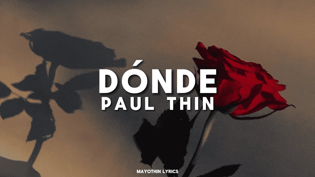 ✮⋆˙ DÓNDE - PAUL THIN (lyrics) ✮⋆˙