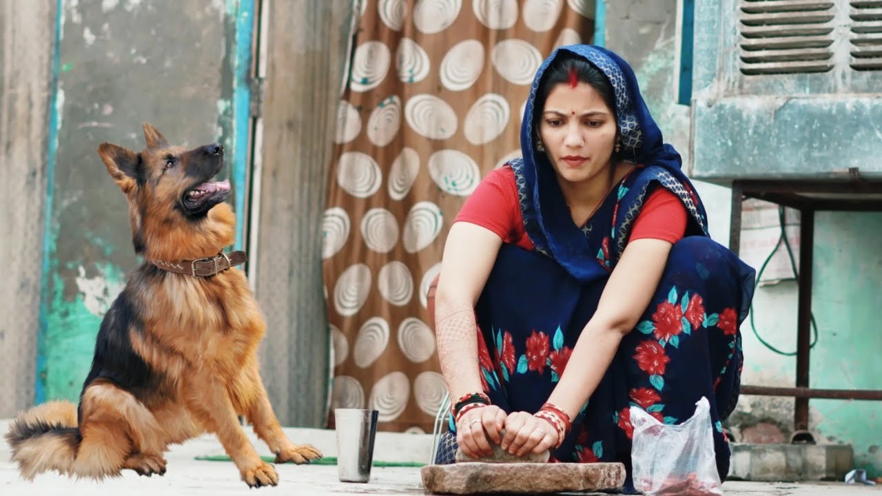 बहु की मज़बूरी Shadi 