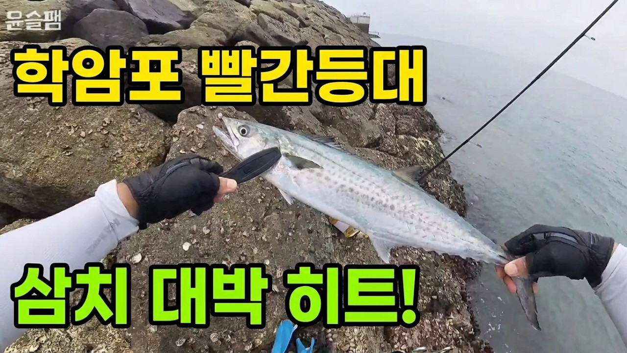 태안 학암포 선착장 빨간등대 삼치 루어낚시