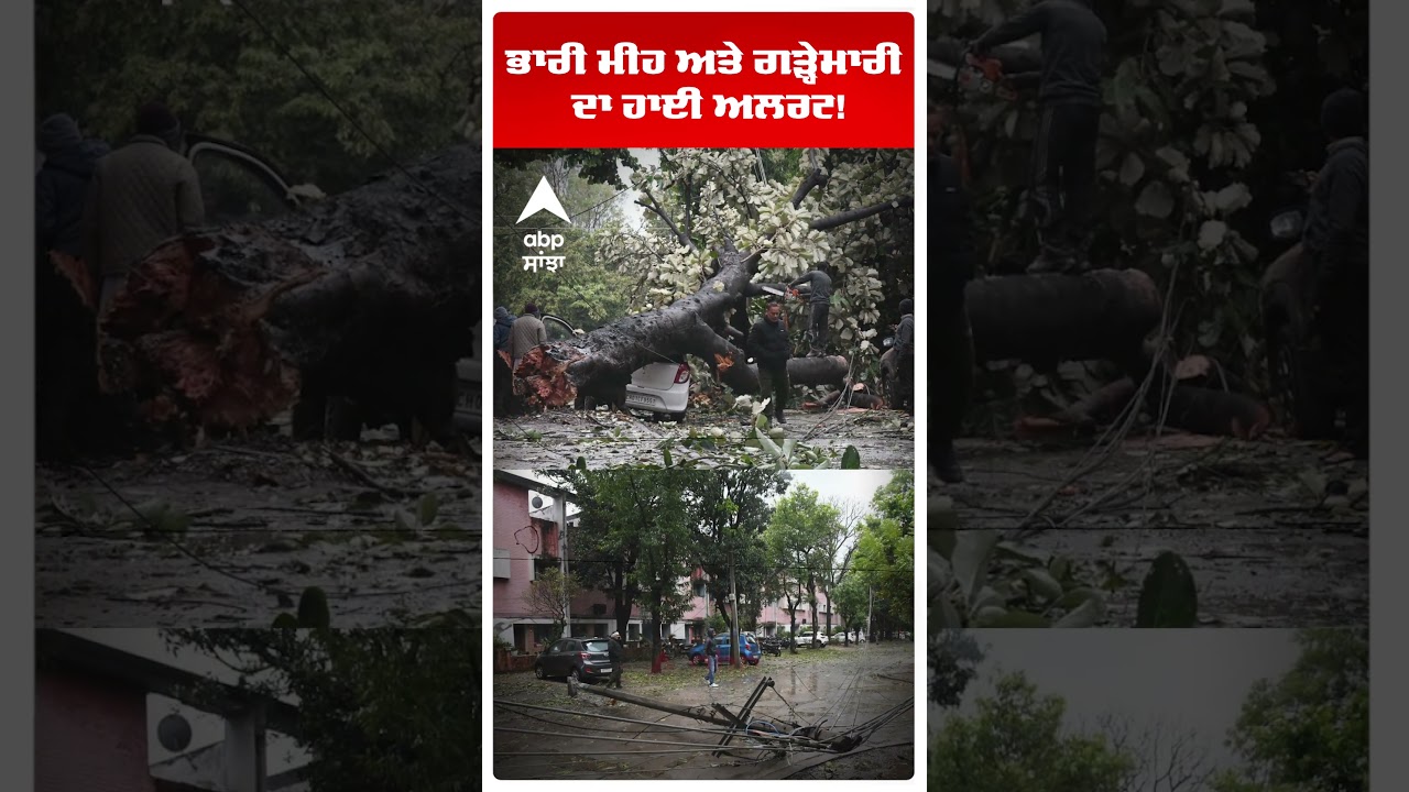 Punjab Heavy Rain Alert: ਭਾਰੀ ਮੀਂਹ ਅਤੇ ਗੜ੍ਹੇਮਾਰੀ ਦਾ ਹਾਈ ਅਲਰਟ! |Punjab news | Abp Sanjha |#shorts