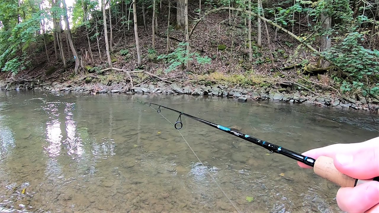 TROUT Fishing TIPS - Trout Fishing with Spinners in Creeks & Streams