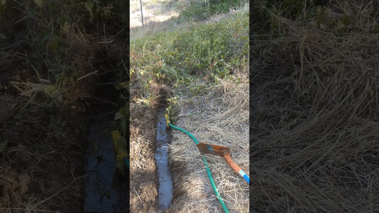 Swale Digging Technique