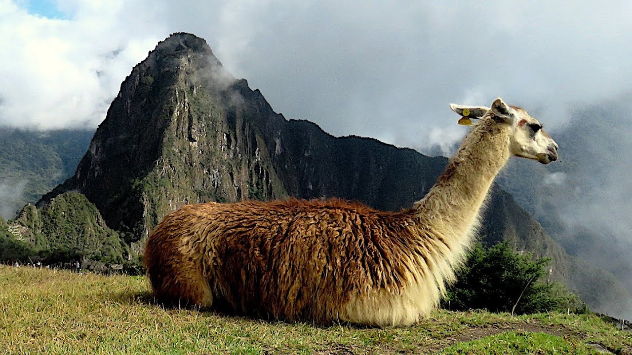 PERU 2022
