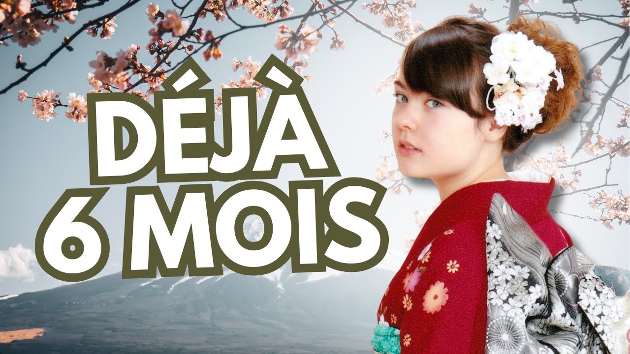 VIE AU JAPON 🇯🇵 BILAN DES 6 MOIS #PVTJAPON 日本で６ヶ月間を過ごした結果