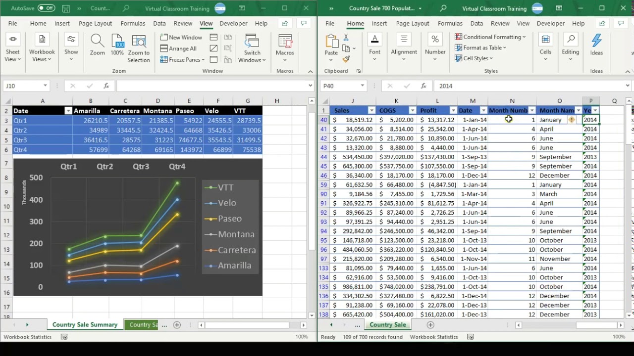Viewing Two Sheets of the Same Excel File Side-by-Side