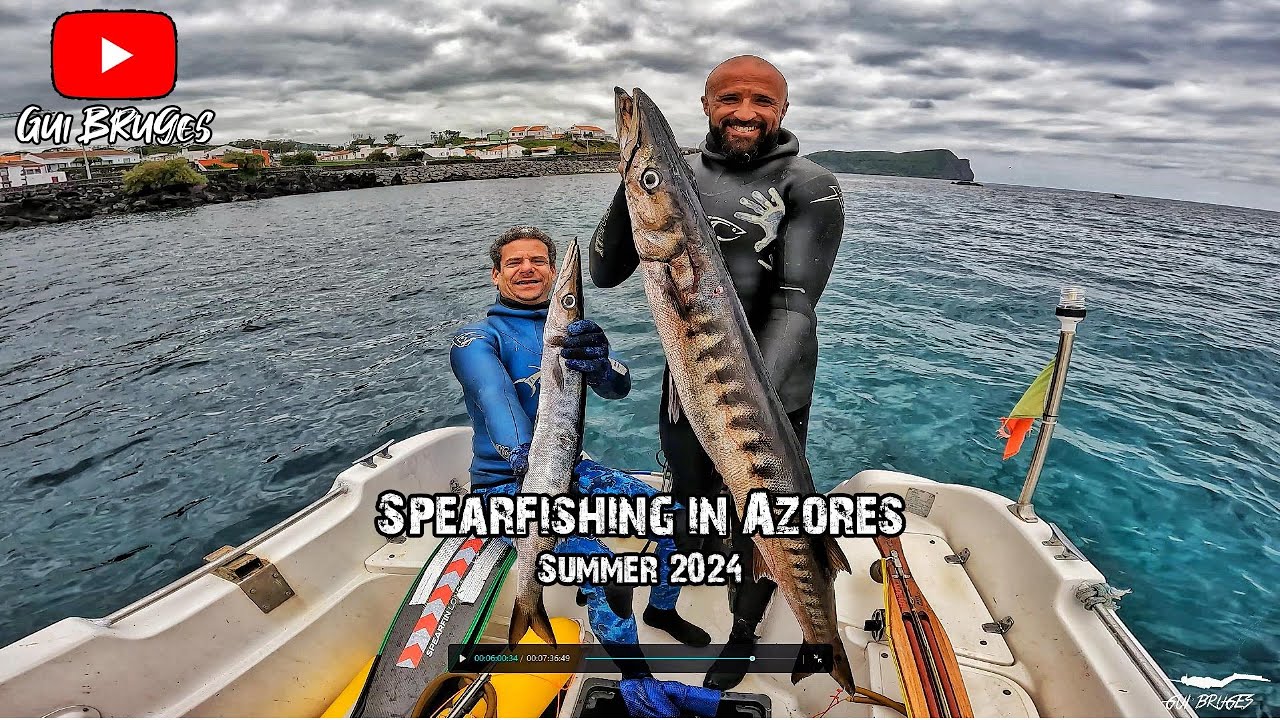 Caça submarina Verão 2024 - I