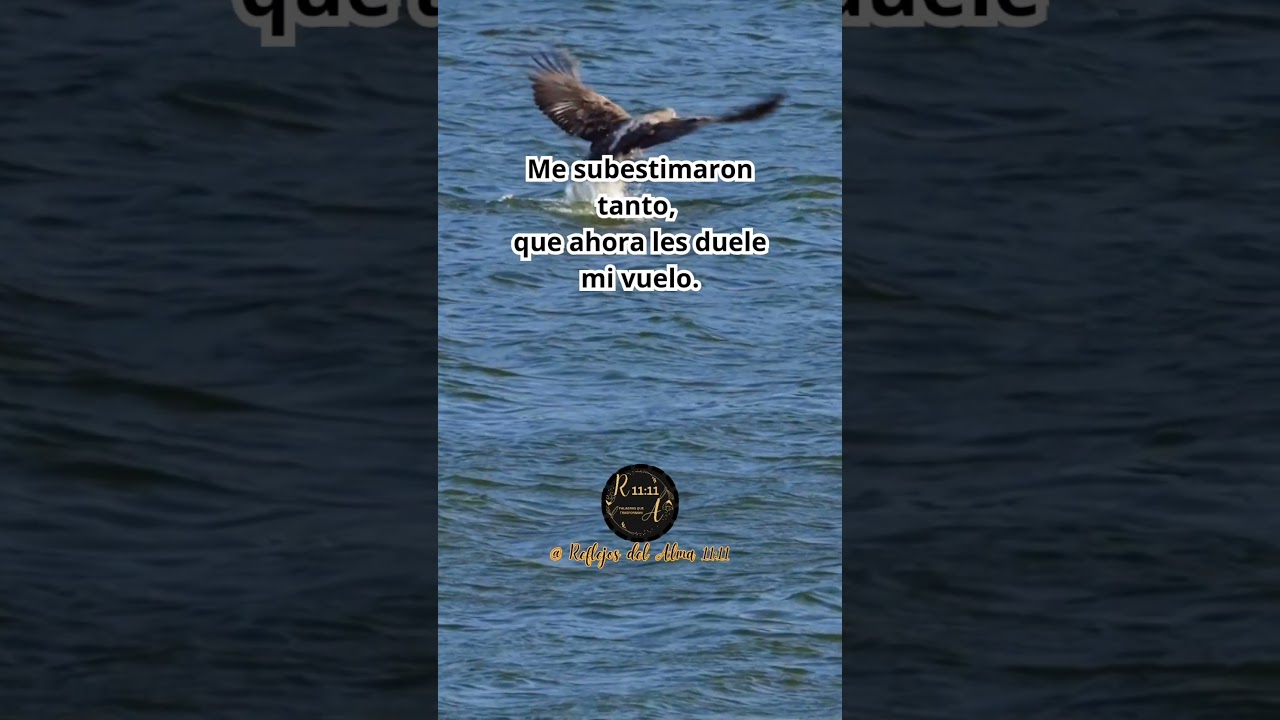 #frases
