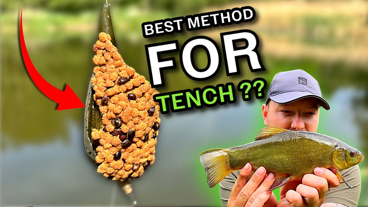 Trying To Catch Tench On The Method Feeder !! (BEST Method For Catching Tench)