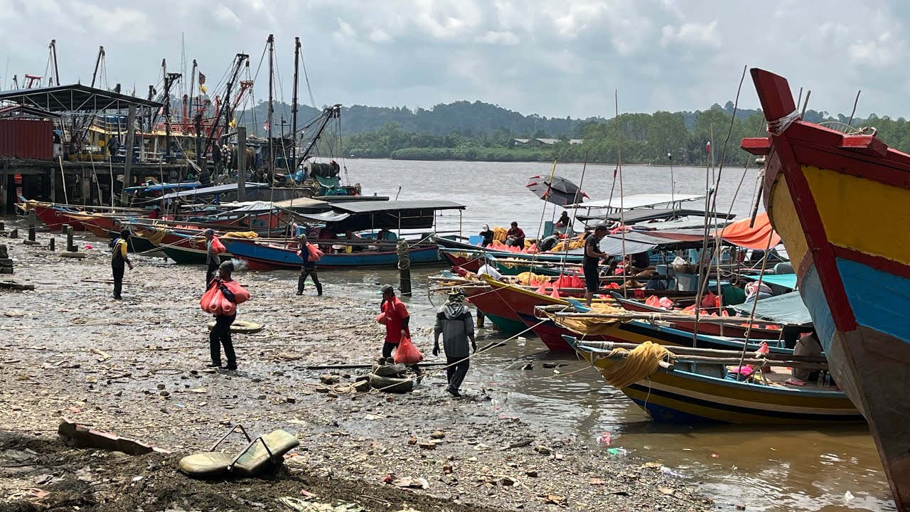 Musim Bubuk Di Bintulu 
