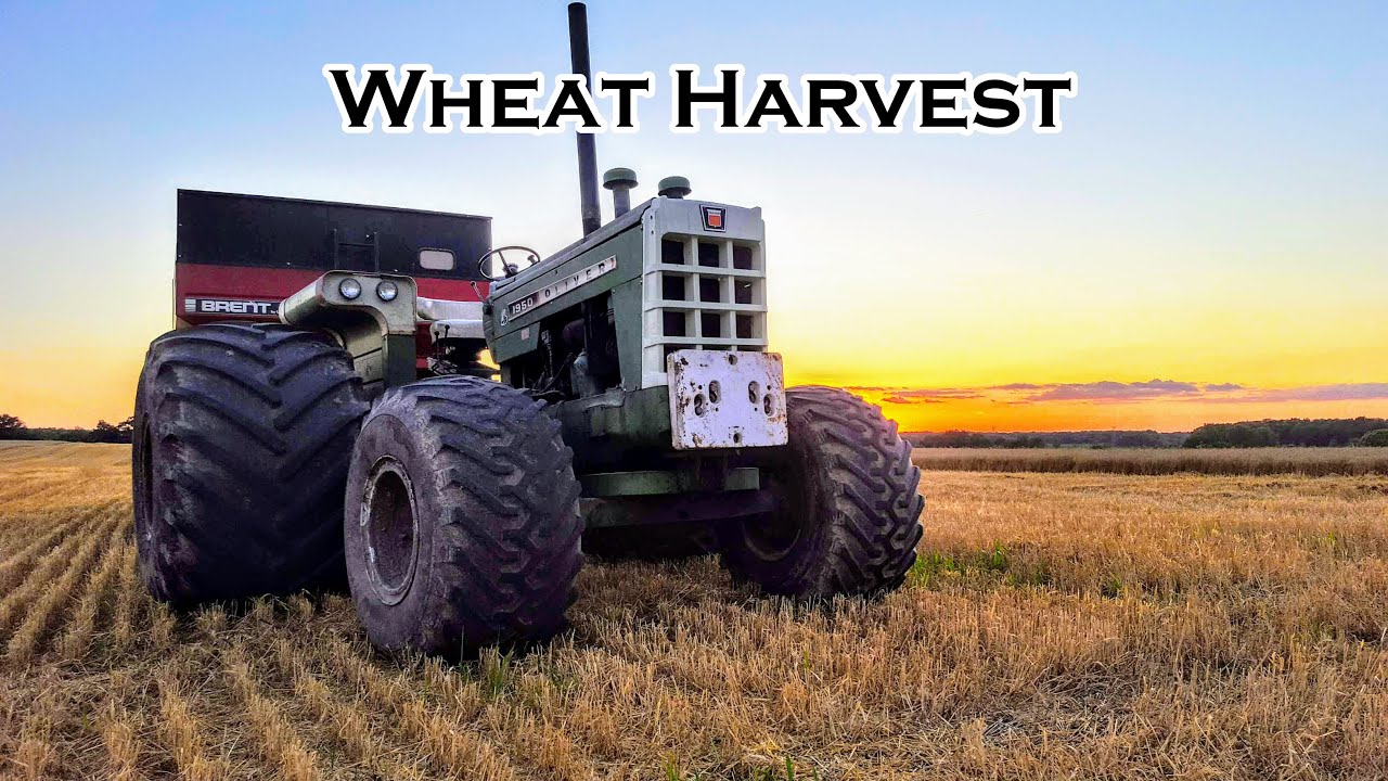 Wheat Harvest with the Massey 8570, Oliver 770, and HERMAN!