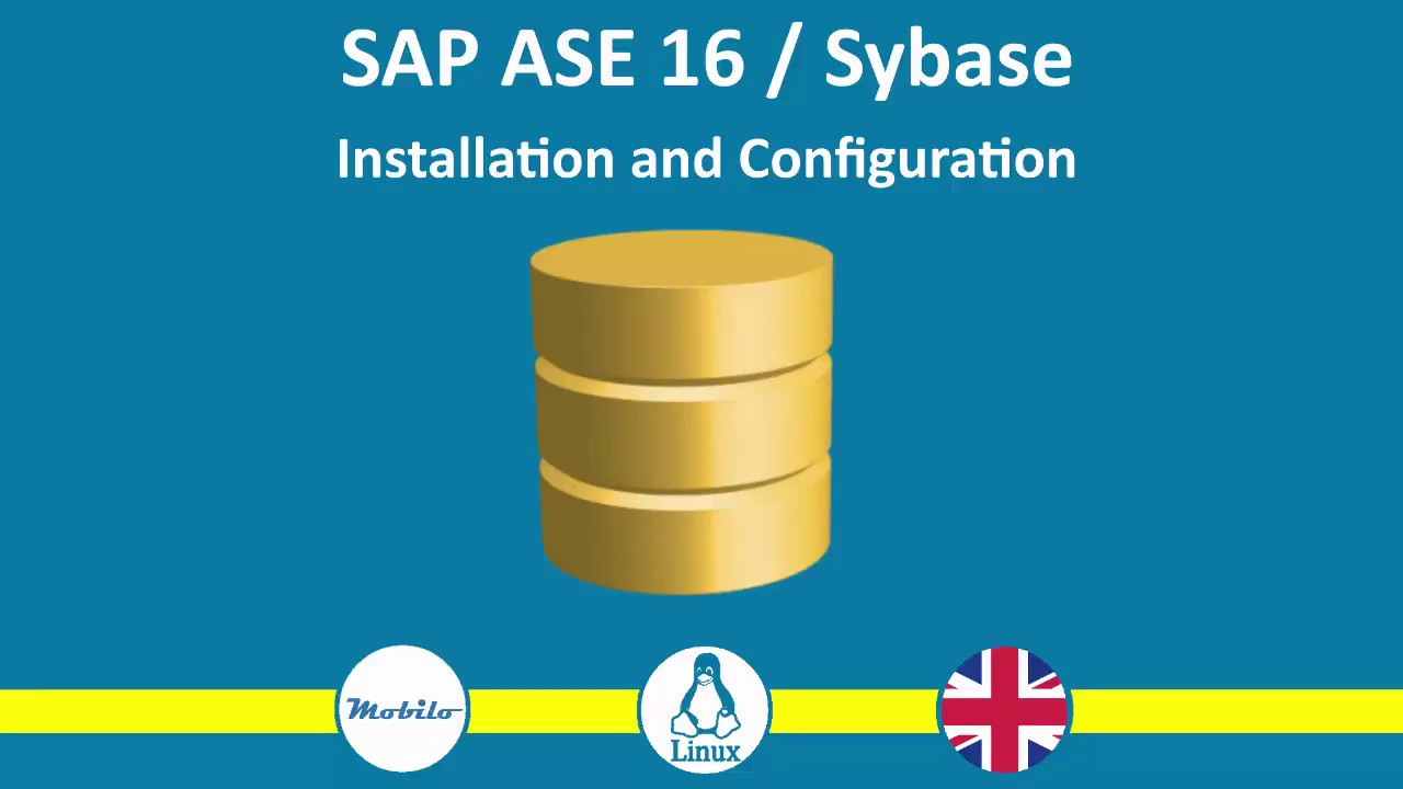Sybase Installation and Configuration: About the course