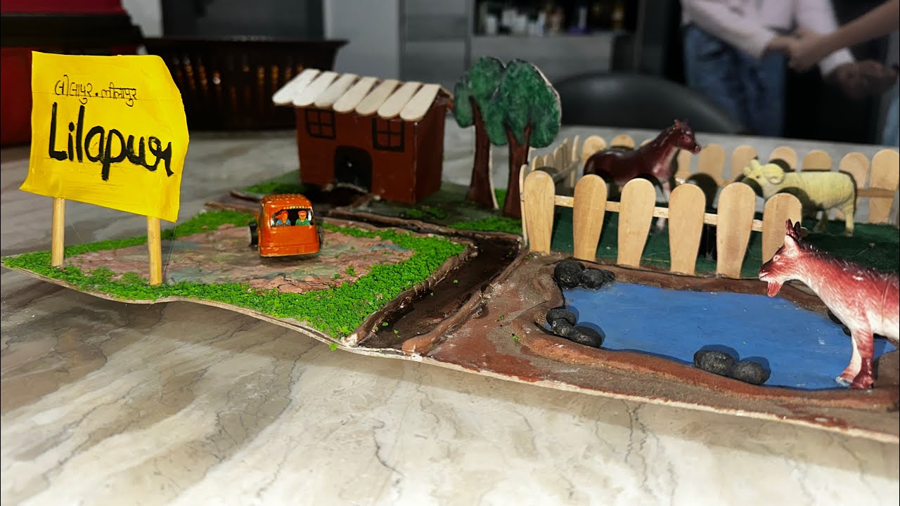 My School Project Civilization Urban VS Rural 7th Apollo International School #schoolproject #school