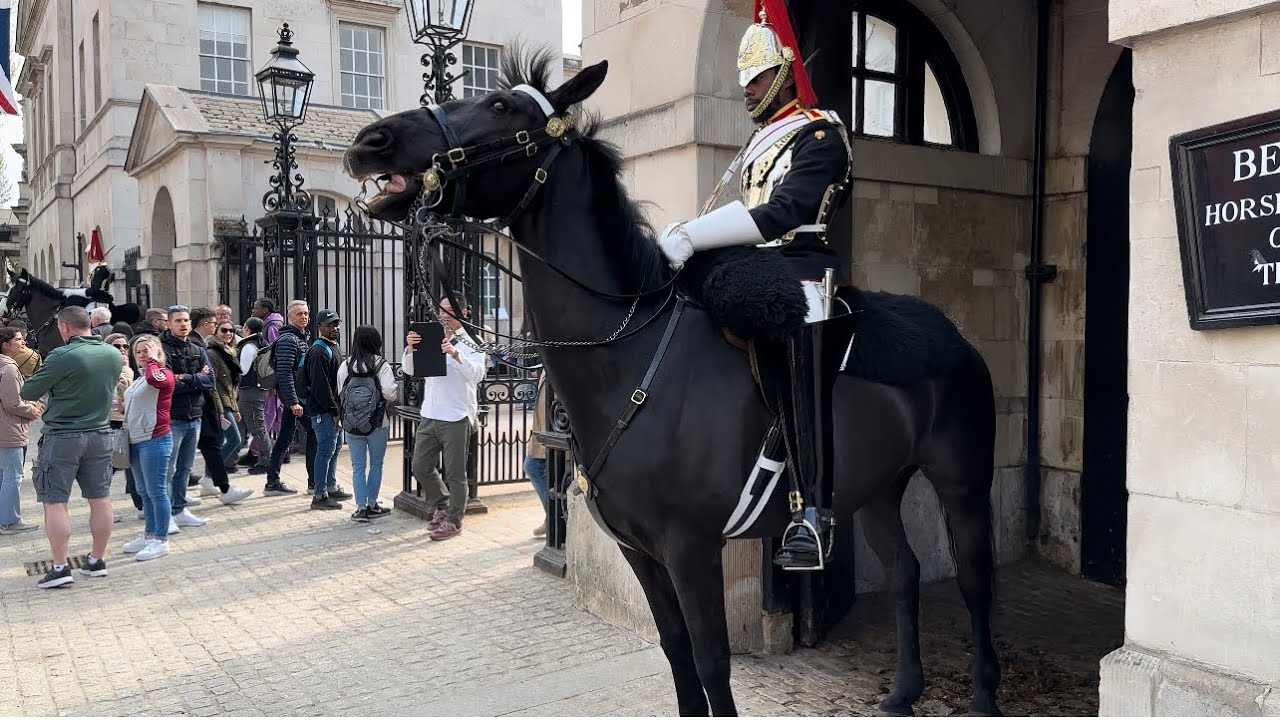 King&rsquo;s Guard&rsquo;s Horse Goes Crazy!