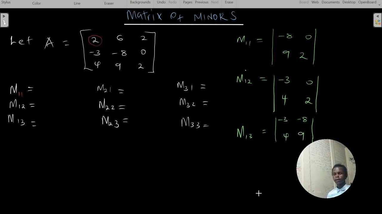 Matrix of minors
