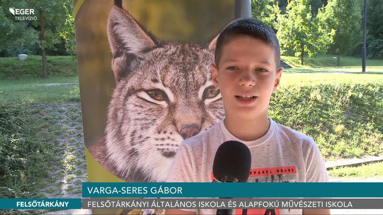 Az Év Emlőse 2019-ben a hiúz  - 2019.09.13.