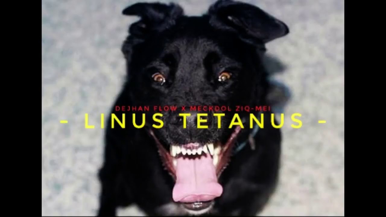Dejhan X Meckdol - Linus Tetanus ( DISS MarselLINUS KYA BUTTO )