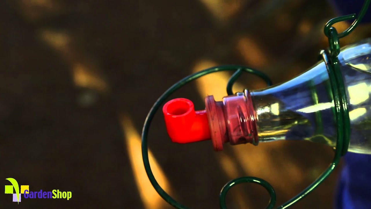 Hanging a Nectar Feeder