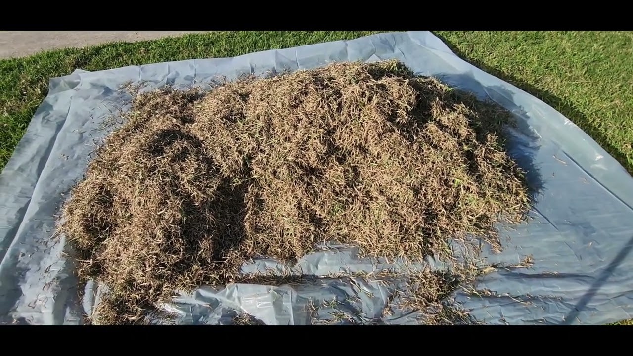 Dethatch and Lawn Topdress with Command Topsoil