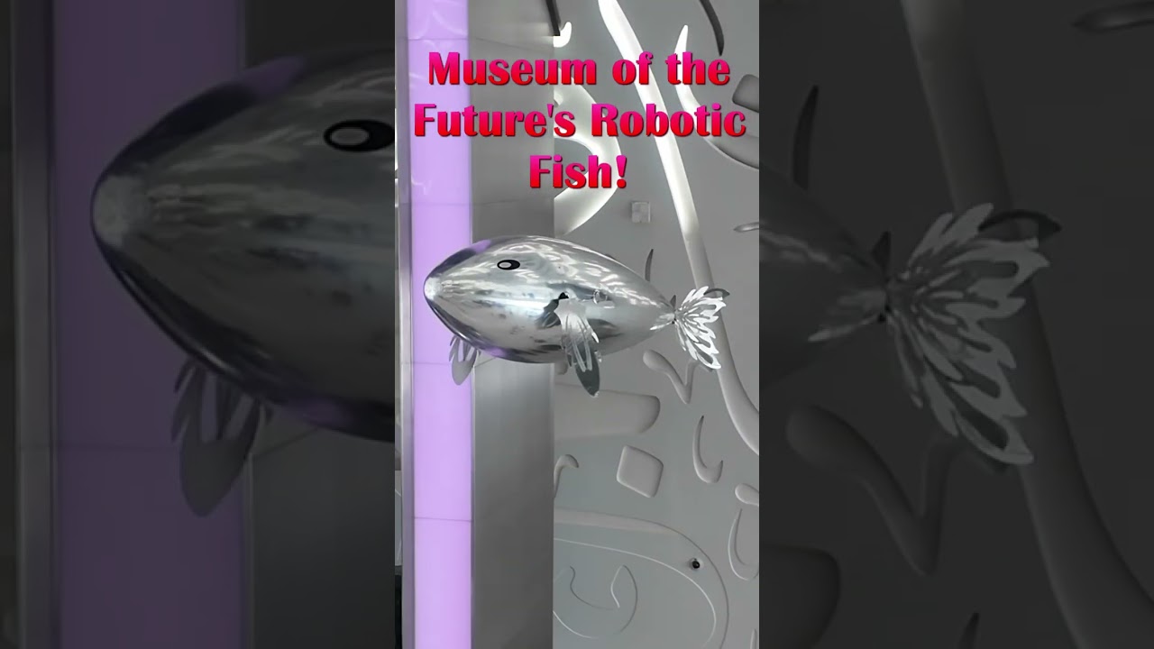 Robotic Fish Soars Through Dubai&rsquo;s Museum of the Future!🐠#museumofthefuture #dubaiattractions #dubai