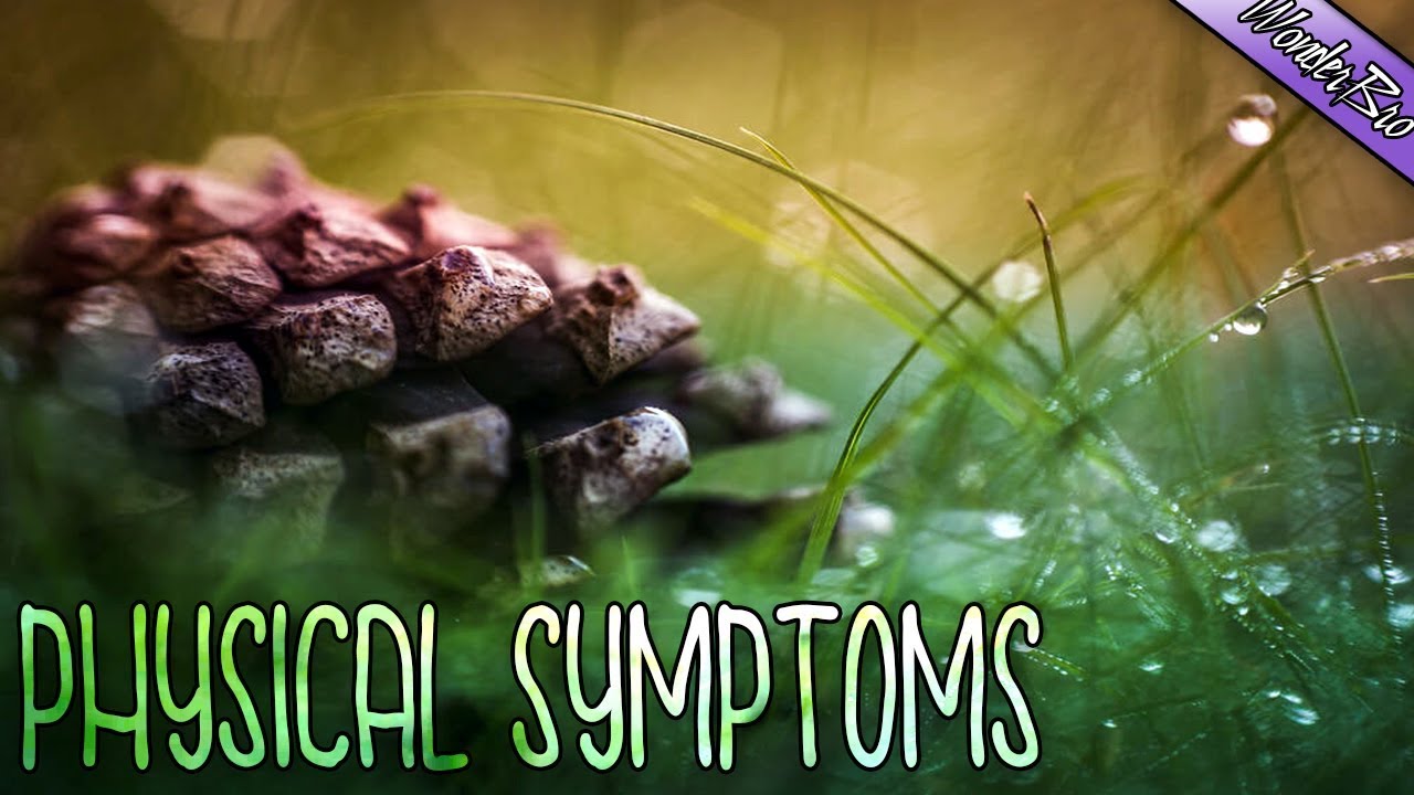 Dealing With The Physical Symptoms Of Anxiety/Panic ✨