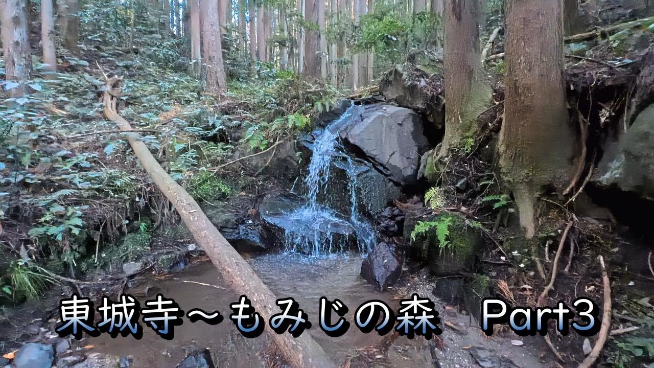【東城寺～もみじの森】朝活 Part 3（2025/12/06）
