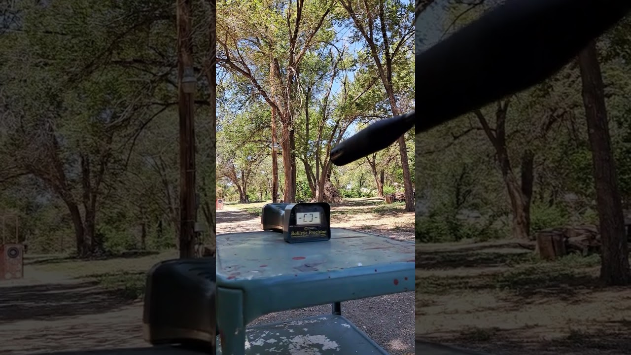 Винтовка Gamo Swarm 10x Pro Magnum калибра .22... сможет ли она развивать скорость 1300 футов в с...