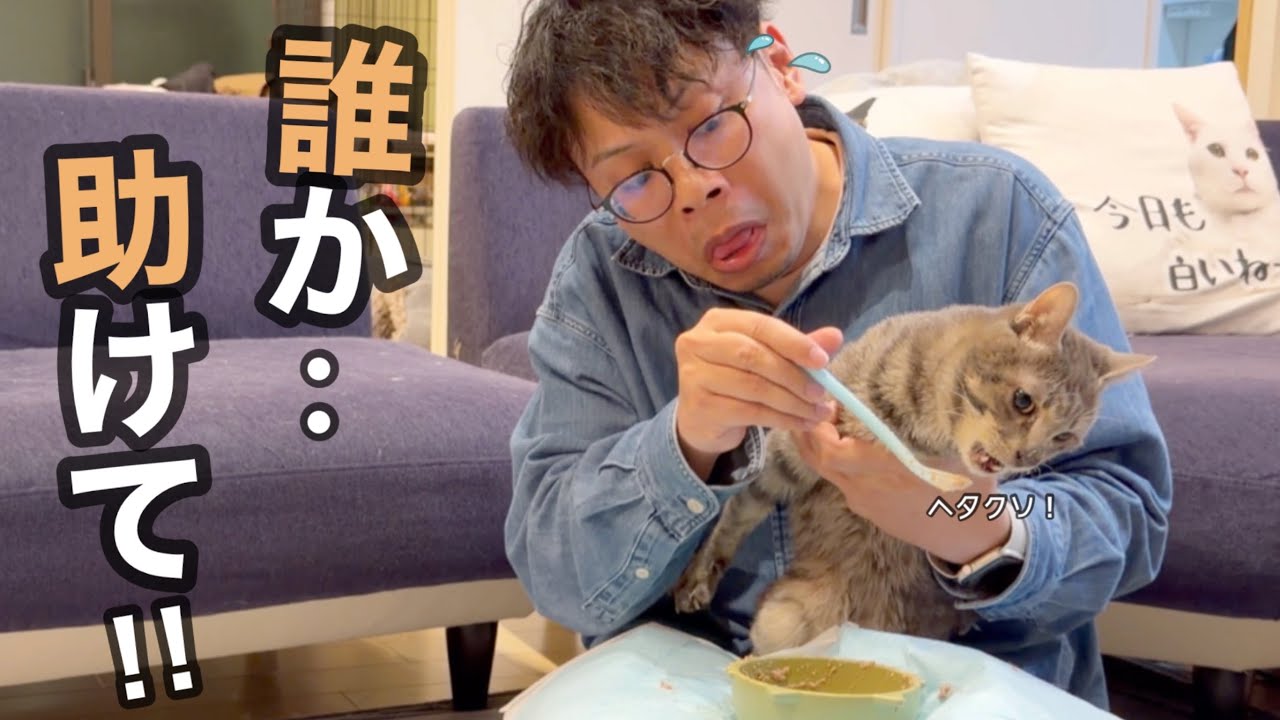 【help】パパ1人で無理！！ママが子供連れて出て行きました。
