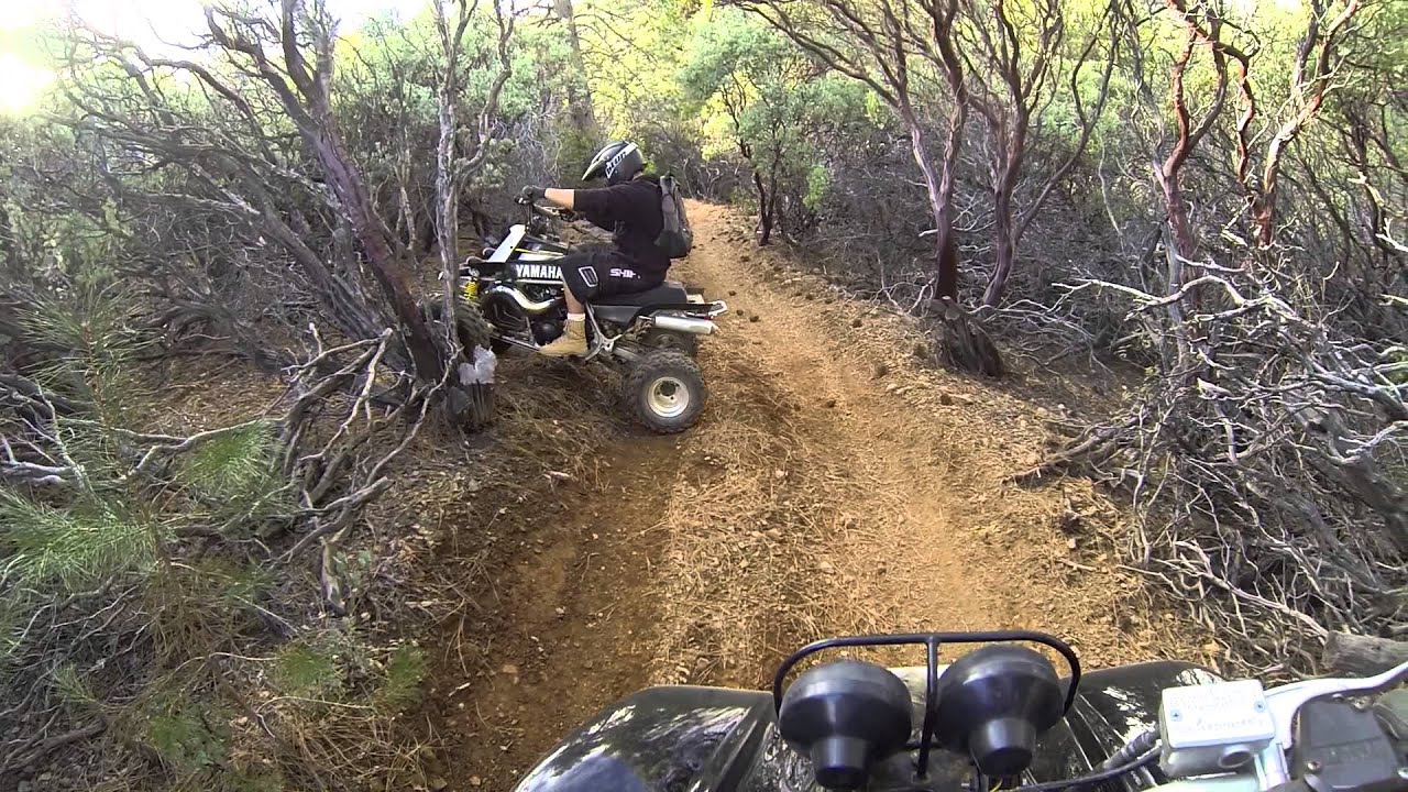 GoPro Hero 3 Black Yamaha Banshee and Warrior - **The Adventure Down Road Ocho** (PART 1 of 6)