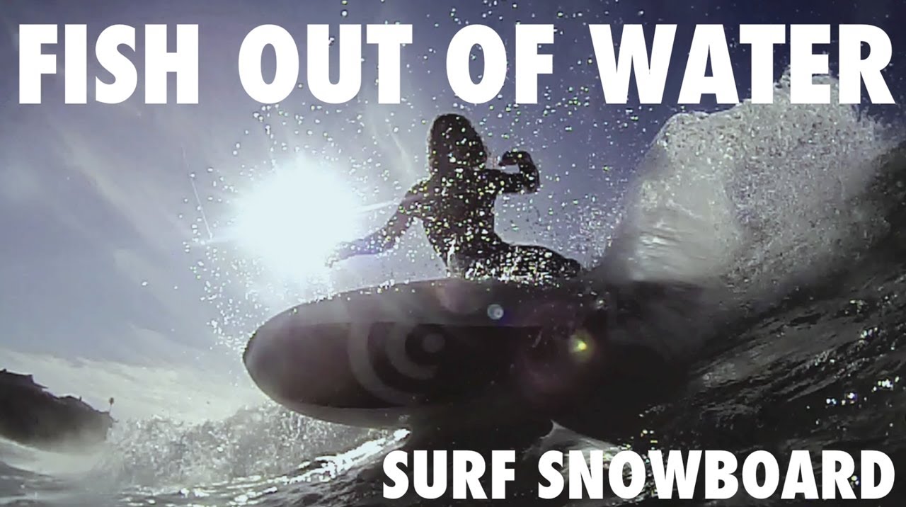 Every Third Thursday-Fish out of Water-Surf Snowboard-by-Signal Snowboards
