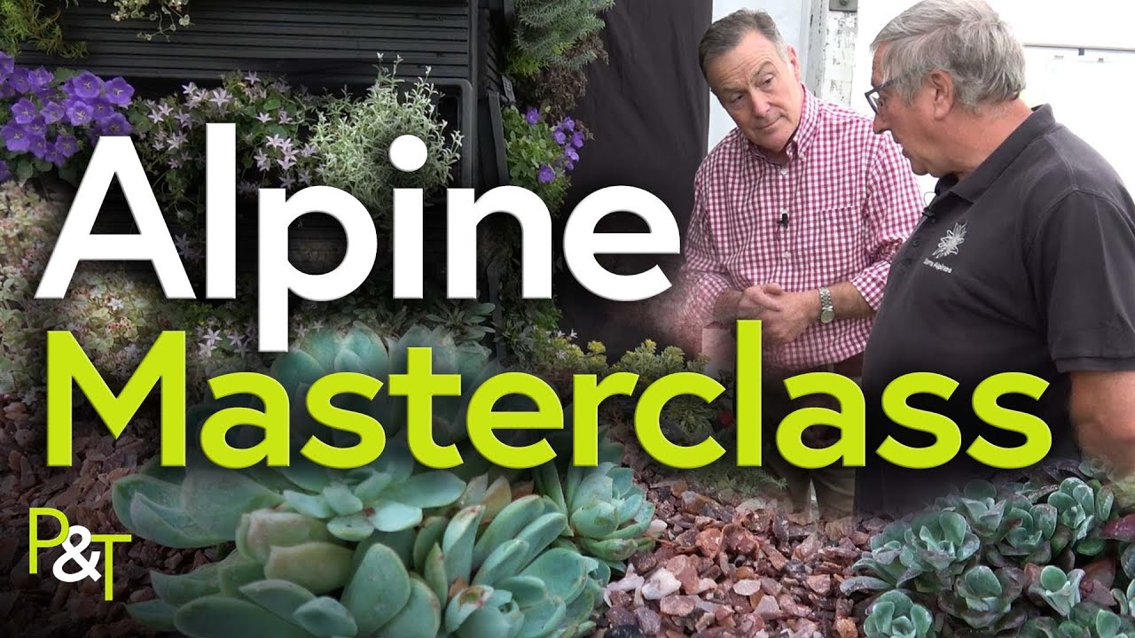 Alpine Masterclass - Pots & Trowels