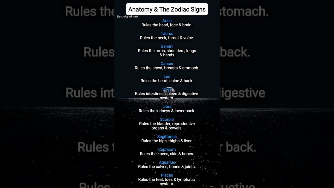 Where Your Zodiac Lives in Your Body 