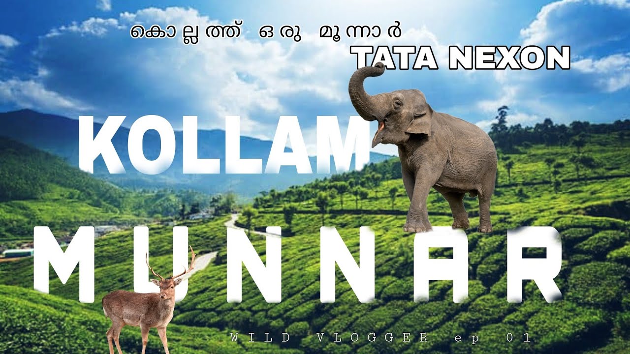 കൊല്ലം മൂന്നാർ / KOLLAM MUNNAR / TATA NEXON OFF ROAD / TEA ESTATE /TEA FACTORY  / ACHANKOVIL