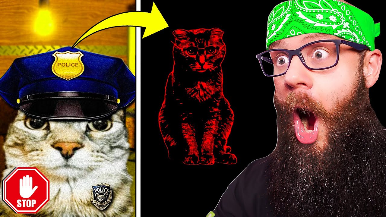 😺 NOWA WESOŁA GRA O KOTKACH... 😺