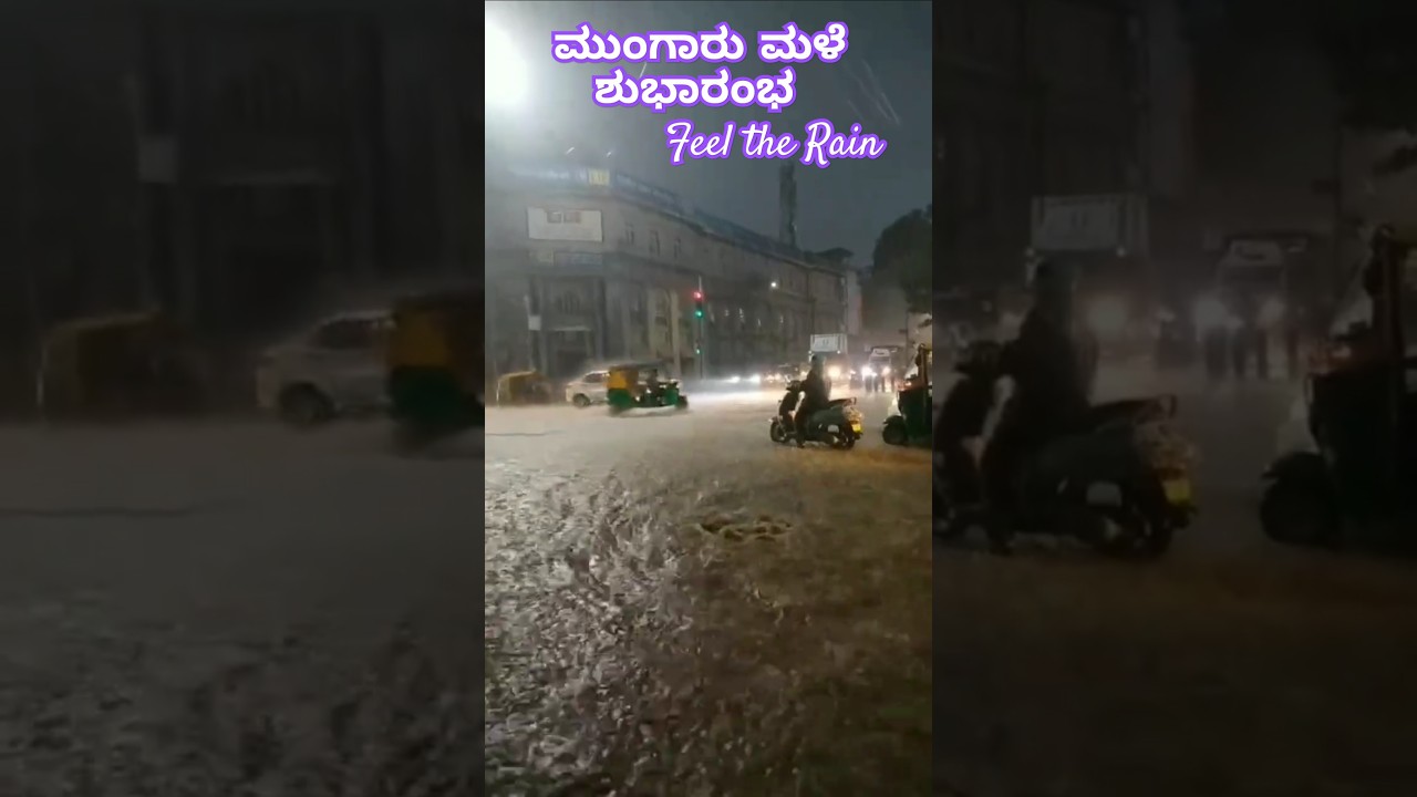 EE Male EE Male 🎶🎧🌧️☂️| Rain season #laali #EemaleEemale #vishnuvardhan #rainsongkannada #vmanohar