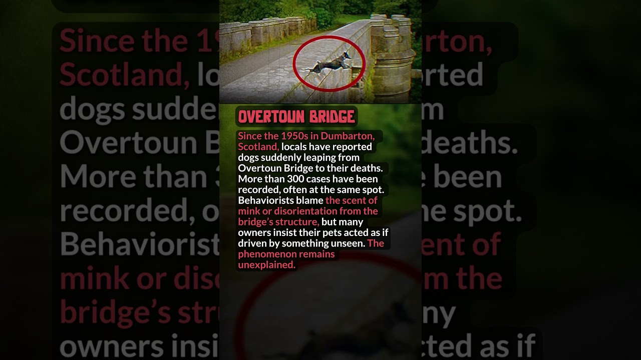 Overtoun Bridge